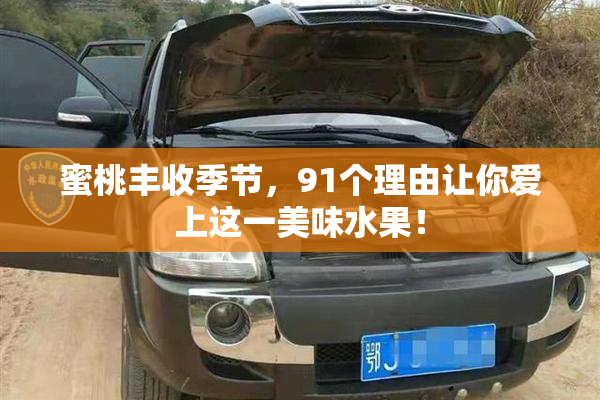 蜜桃丰收季节，91个理由让你爱上这一美味水果！