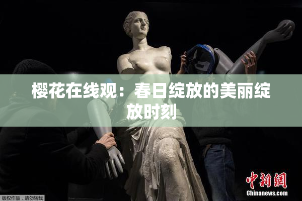 樱花在线观：春日绽放的美丽绽放时刻