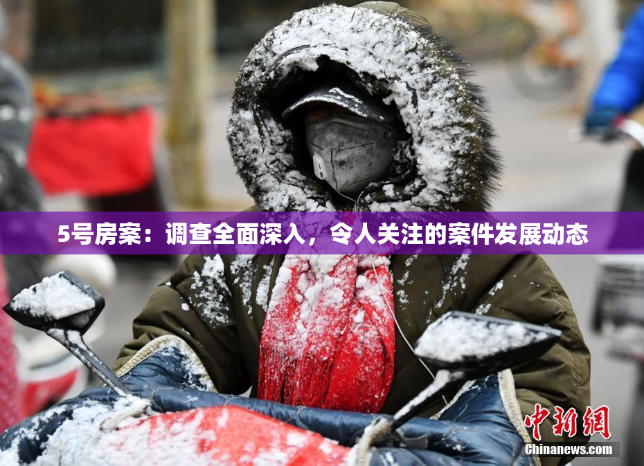 5号房案：调查全面深入，令人关注的案件发展动态