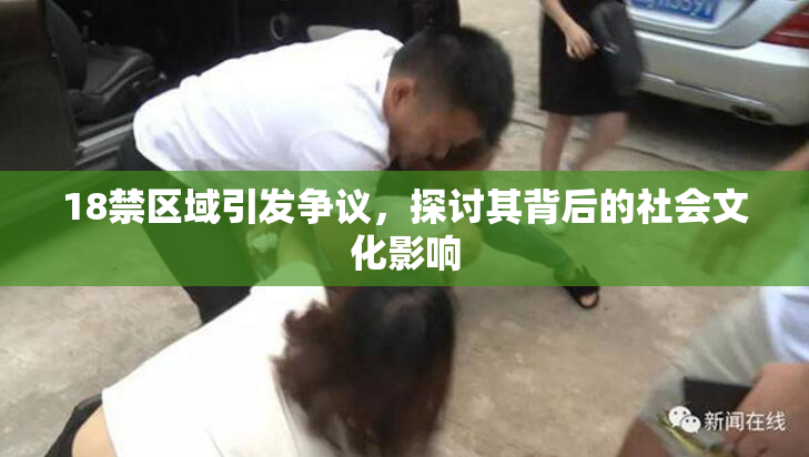 18禁区域引发争议，探讨其背后的社会文化影响