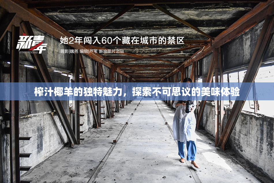 榨汁椰羊的独特魅力，探索不可思议的美味体验