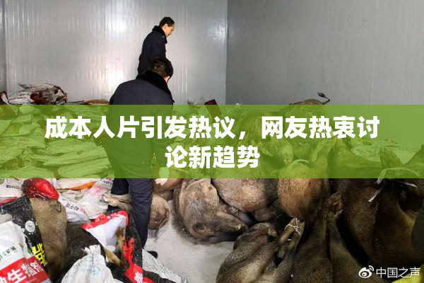 成本人片引发热议，网友热衷讨论新趋势
