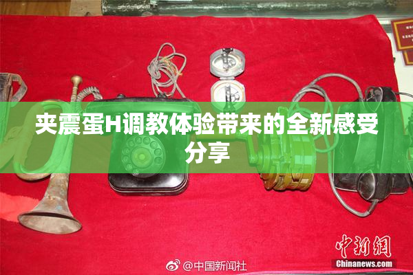 夹震蛋H调教体验带来的全新感受分享