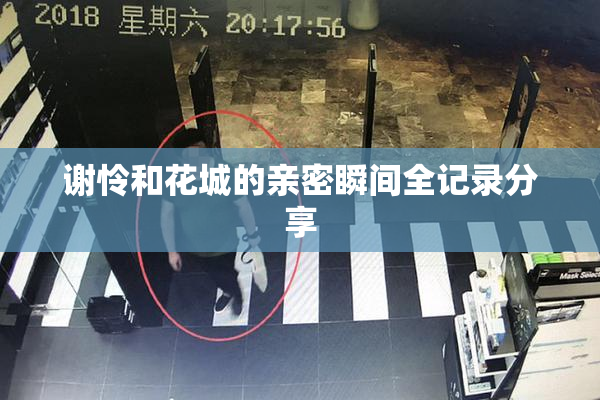 谢怜和花城的亲密瞬间全记录分享
