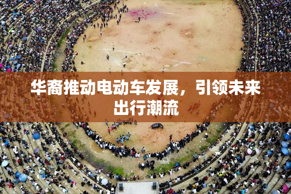 华裔推动电动车发展，引领未来出行潮流