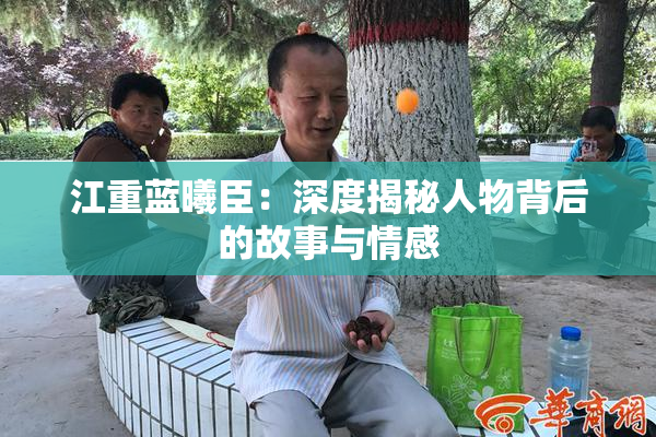江重蓝曦臣：深度揭秘人物背后的故事与情感