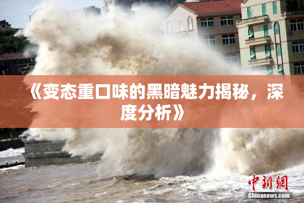 《变态重口味的黑暗魅力揭秘，深度分析》