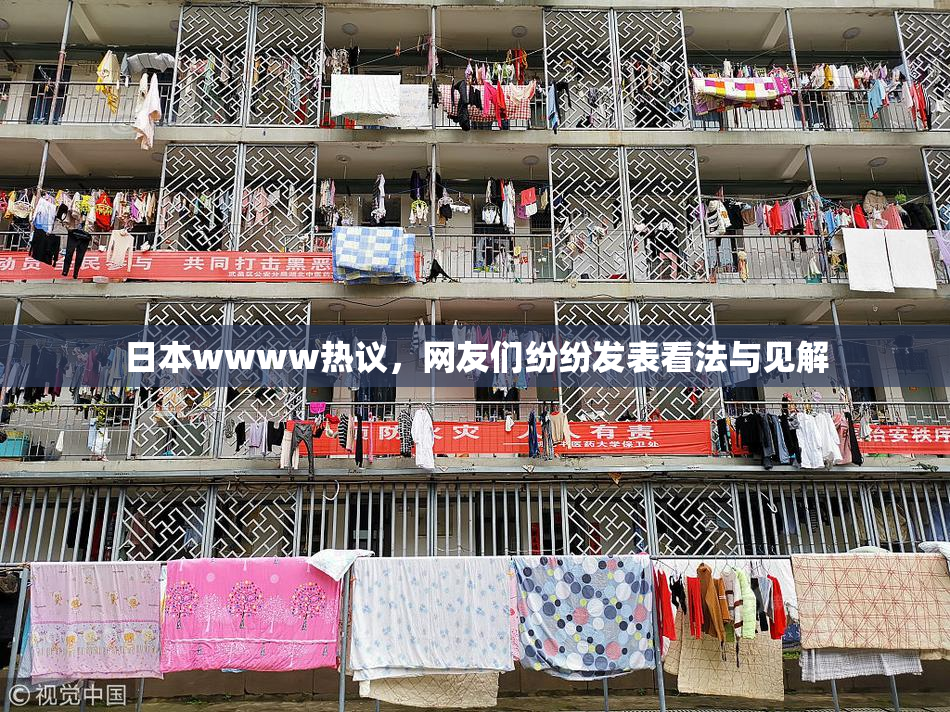 日本wwww热议，网友们纷纷发表看法与见解