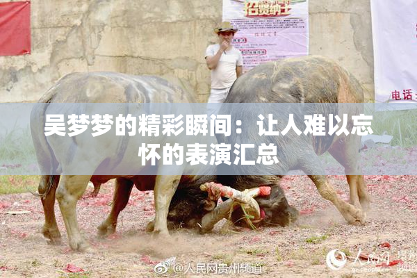 吴梦梦的精彩瞬间：让人难以忘怀的表演汇总