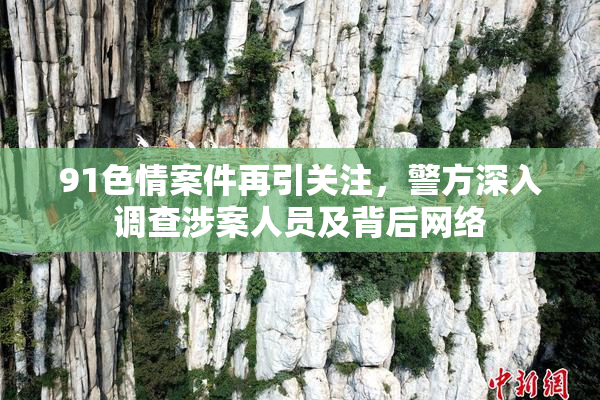 91色情案件再引关注，警方深入调查涉案人员及背后网络
