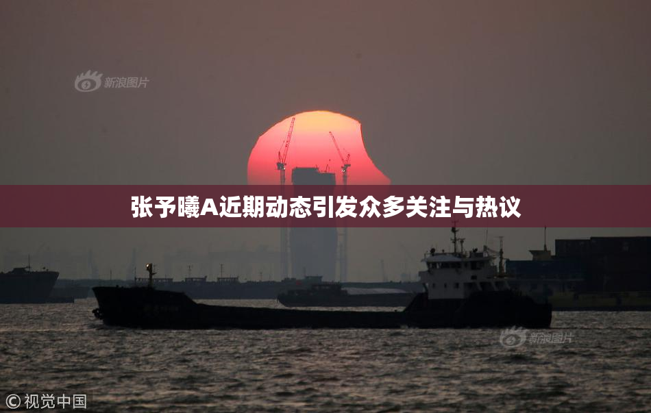 张予曦A近期动态引发众多关注与热议