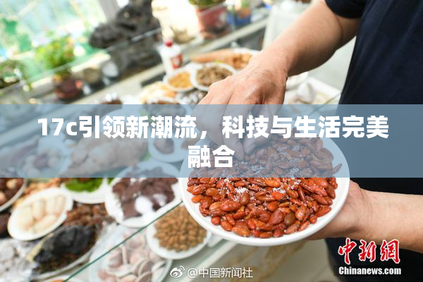 17c引领新潮流，科技与生活完美融合