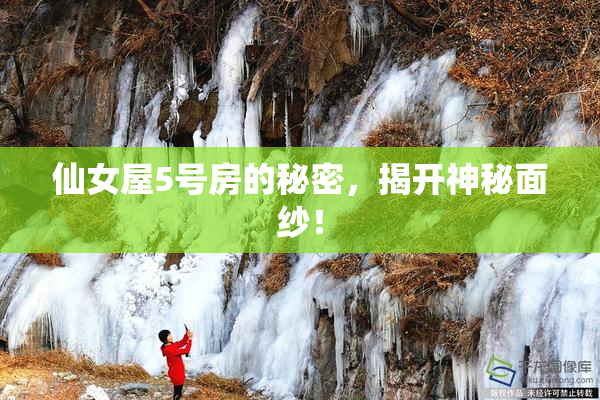 仙女屋5号房的秘密，揭开神秘面纱！