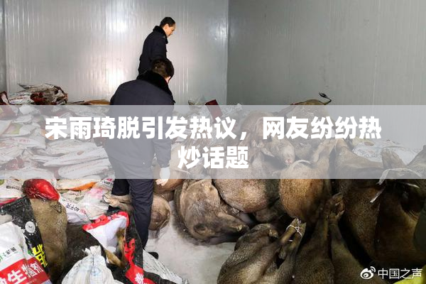 宋雨琦脱引发热议，网友纷纷热炒话题