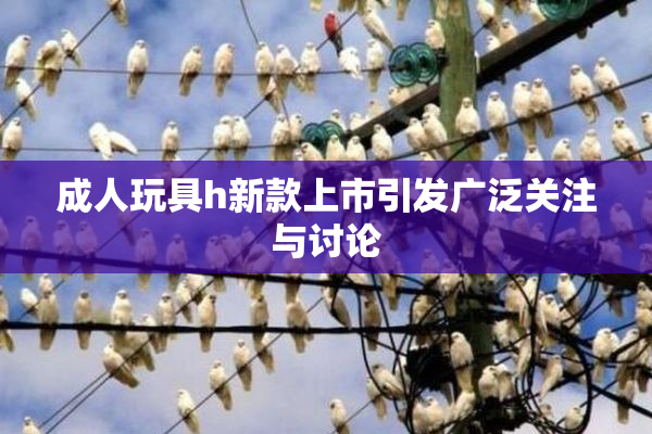 成人玩具h新款上市引发广泛关注与讨论