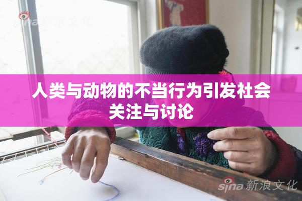 人类与动物的不当行为引发社会关注与讨论