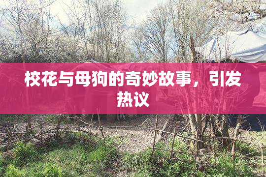 校花与母狗的奇妙故事，引发热议