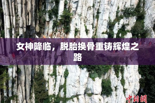 女神降临，脱胎换骨重铸辉煌之路