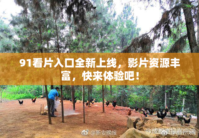 91看片入口全新上线，影片资源丰富，快来体验吧！