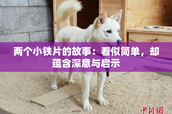 两个小铁片的故事：看似简单，却蕴含深意与启示