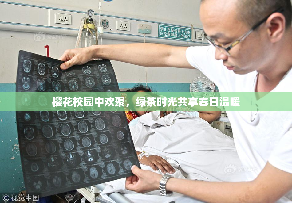 樱花校园中欢聚，绿茶时光共享春日温暖