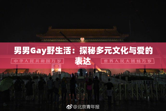 男男Gay野生活：探秘多元文化与爱的表达