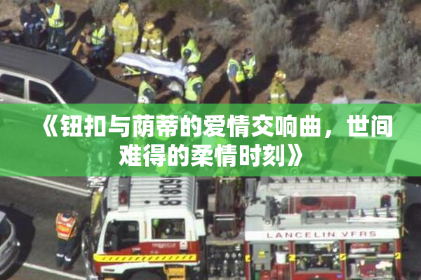 《钮扣与荫蒂的爱情交响曲，世间难得的柔情时刻》