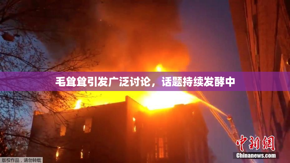 毛耸耸引发广泛讨论，话题持续发酵中