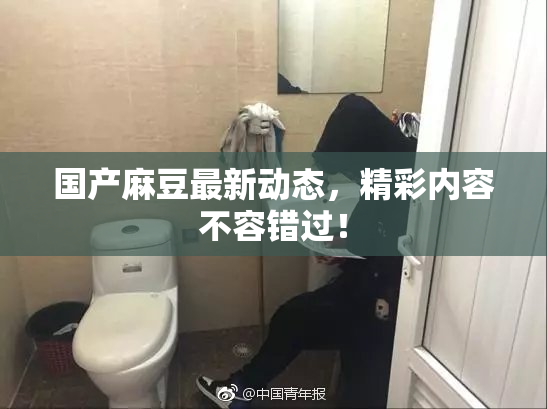 国产麻豆最新动态，精彩内容不容错过！
