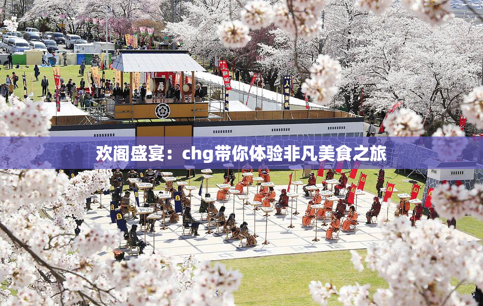 欢阁盛宴：chg带你体验非凡美食之旅