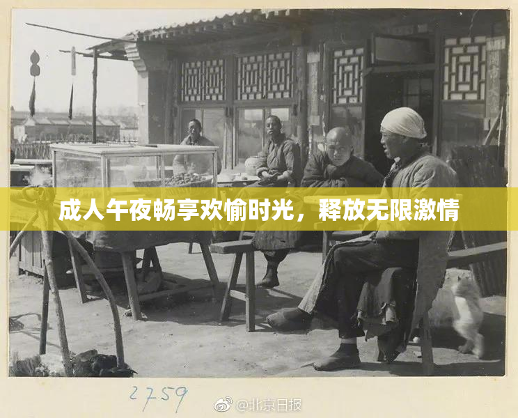 成人午夜畅享欢愉时光，释放无限激情