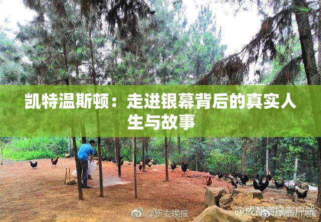 凯特温斯顿：走进银幕背后的真实人生与故事