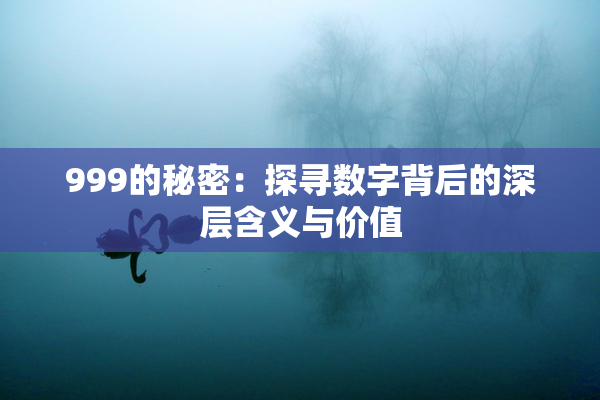 999的秘密：探寻数字背后的深层含义与价值