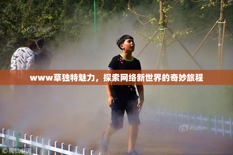 www草独特魅力，探索网络新世界的奇妙旅程