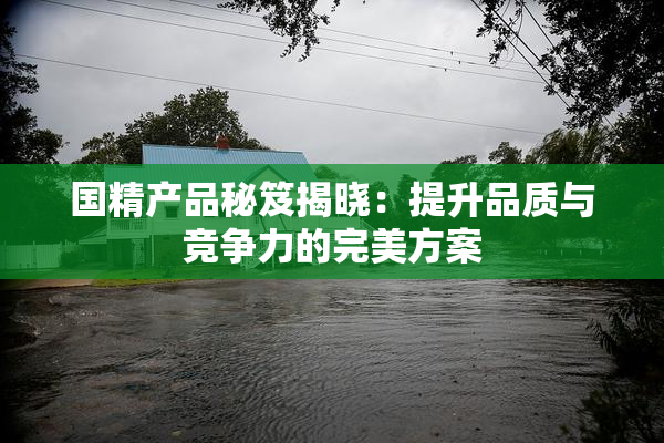 国精产品秘笈揭晓：提升品质与竞争力的完美方案