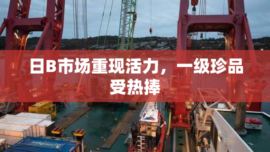 日B市场重现活力，一级珍品受热捧