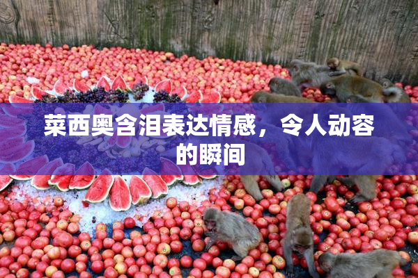 菜西奥含泪表达情感，令人动容的瞬间