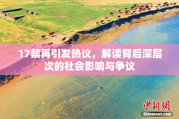 17禁再引发热议，解读背后深层次的社会影响与争议