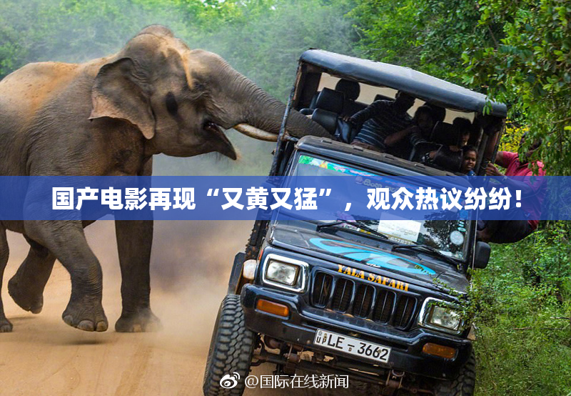 国产电影再现“又黄又猛”，观众热议纷纷！