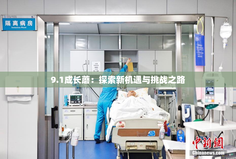 9.1成长蘑：探索新机遇与挑战之路