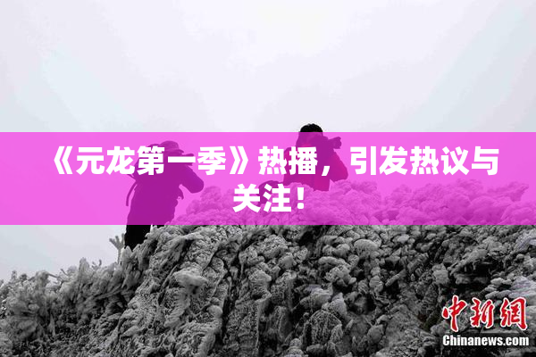 《元龙第一季》热播，引发热议与关注！