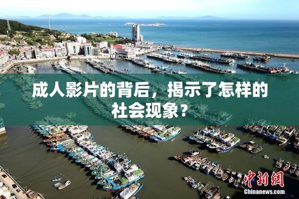 成人影片的背后，揭示了怎样的社会现象？