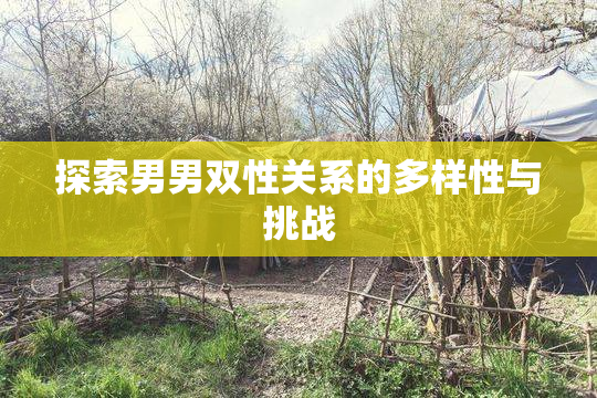 探索男男双性关系的多样性与挑战