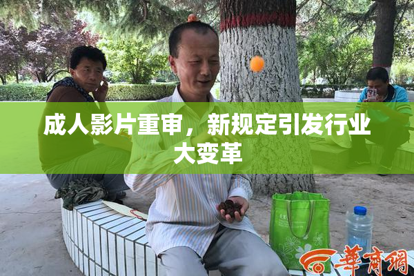 成人影片重审，新规定引发行业大变革