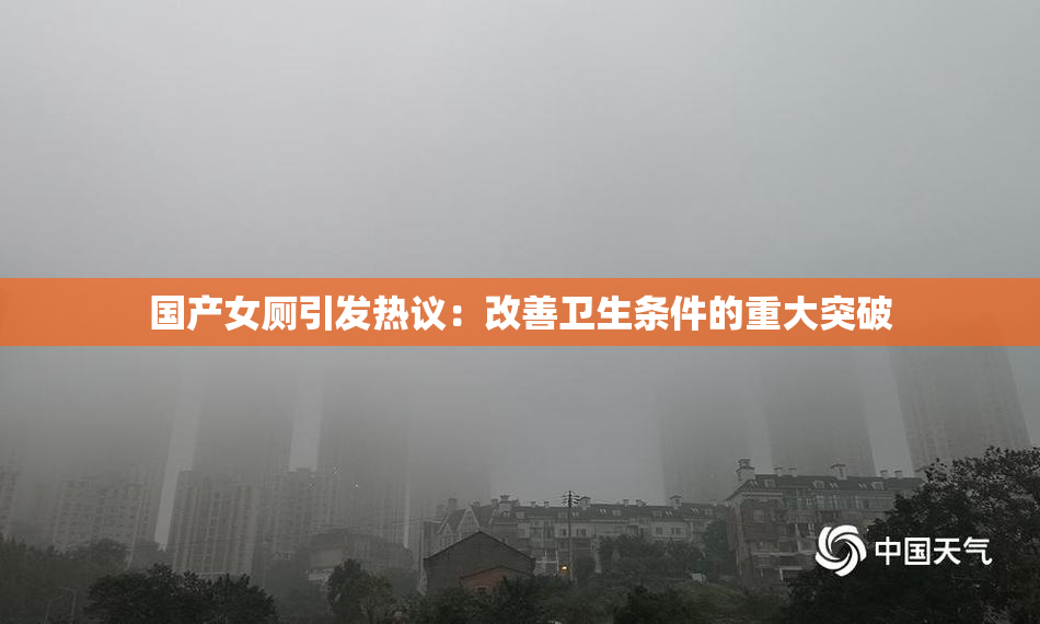 国产女厕引发热议：改善卫生条件的重大突破