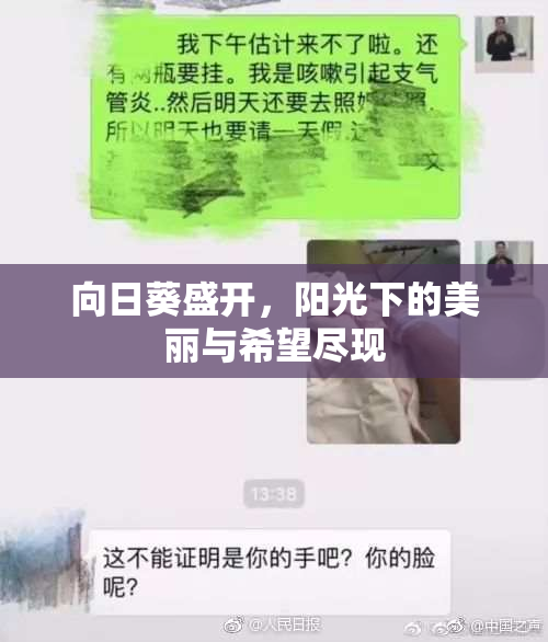 向日葵盛开，阳光下的美丽与希望尽现