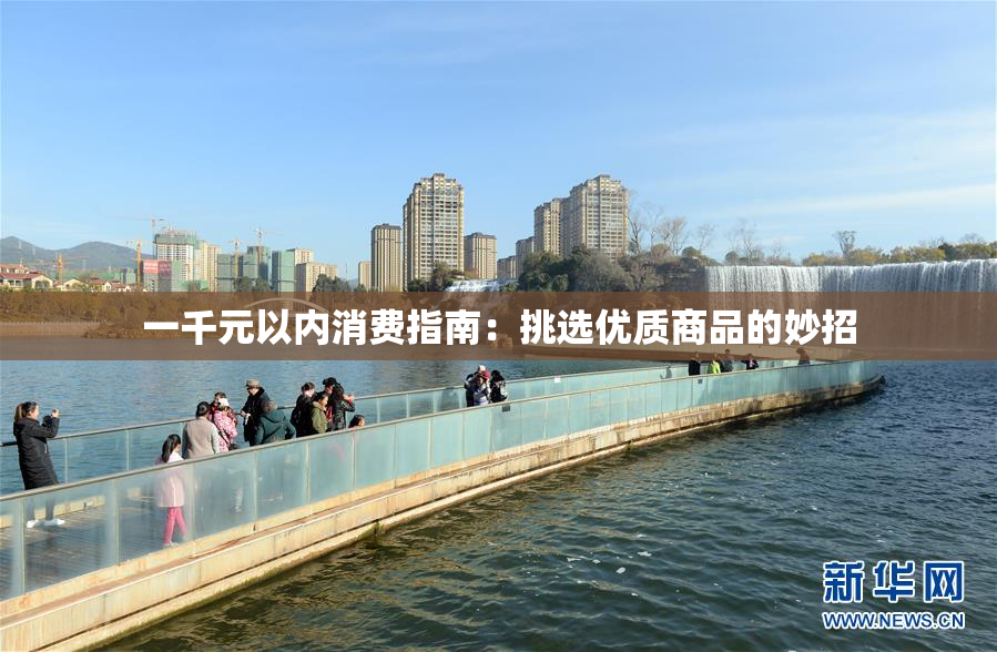 一千元以内消费指南：挑选优质商品的妙招