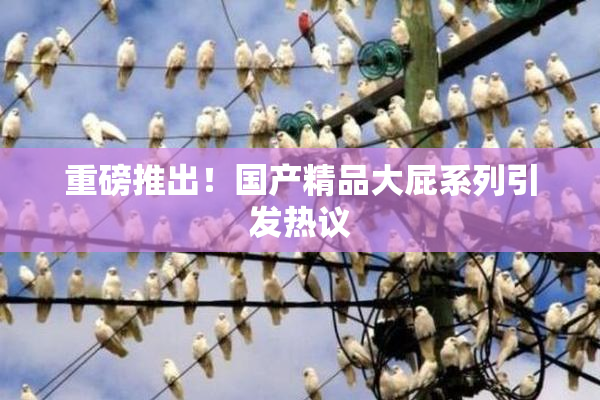 重磅推出！国产精品大屁系列引发热议