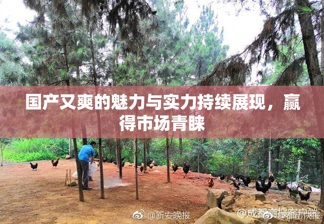 国产又爽的魅力与实力持续展现，赢得市场青睐
