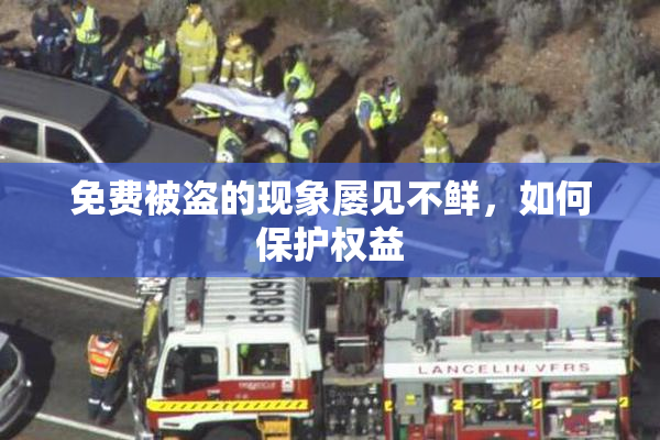 免费被盗的现象屡见不鲜，如何保护权益